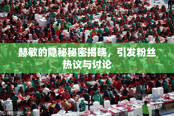 赫敏的隐秘秘密揭晓，引发粉丝热议与讨论