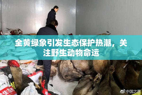 全黄绿象引发生态保护热潮，关注野生动物命运