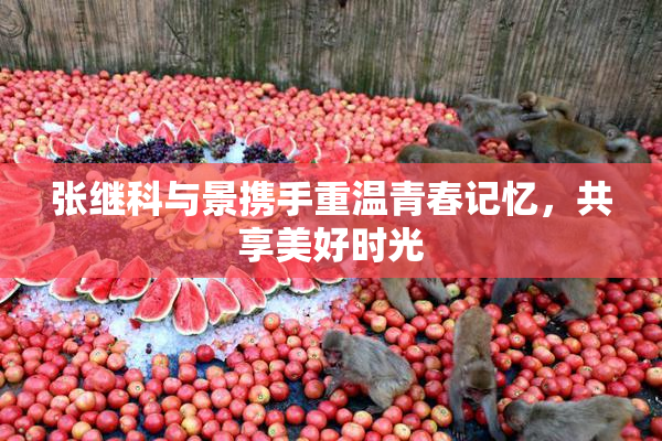 张继科与景携手重温青春记忆，共享美好时光