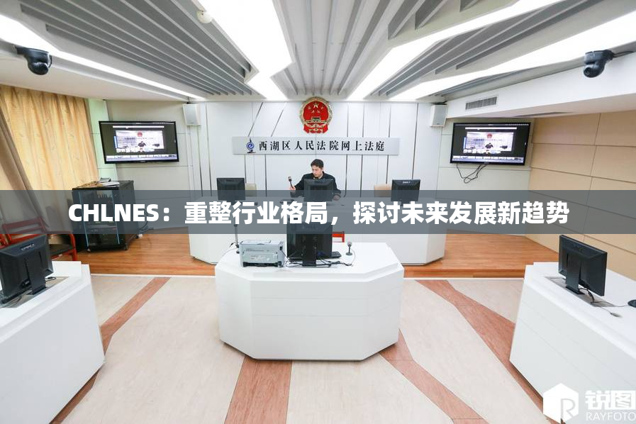 CHLNES：重整行业格局，探讨未来发展新趋势