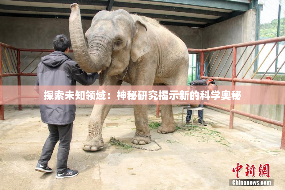探索未知领域：神秘研究揭示新的科学奥秘