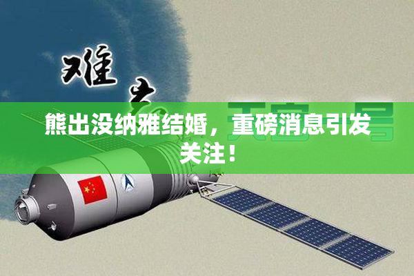熊出没纳雅结婚，重磅消息引发关注！