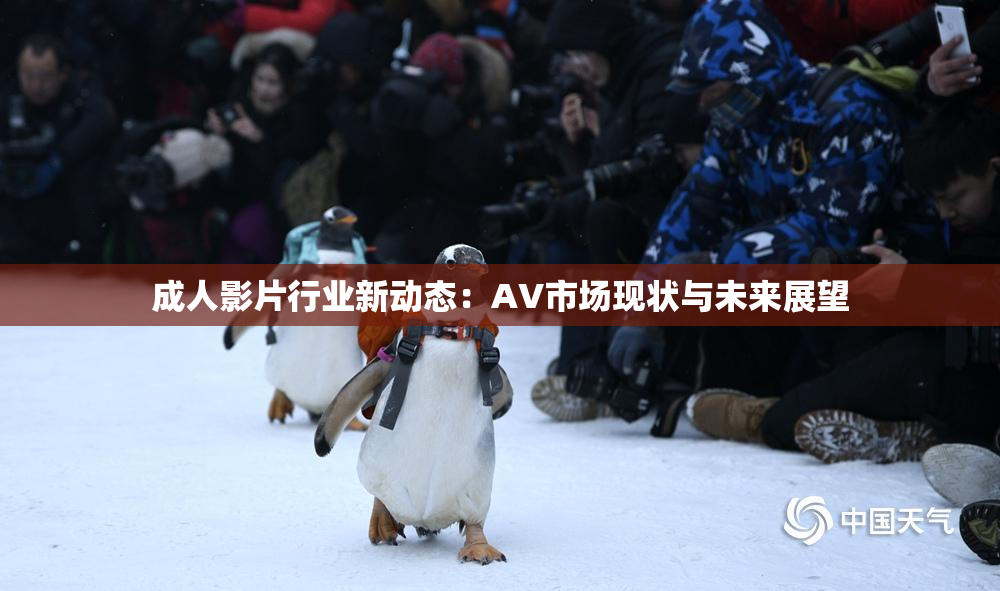 成人影片行业新动态：AV市场现状与未来展望