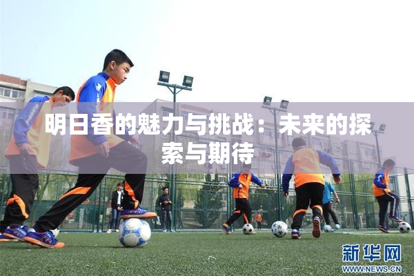 明日香的魅力与挑战：未来的探索与期待