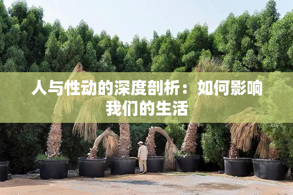 人与性动的深度剖析：如何影响我们的生活