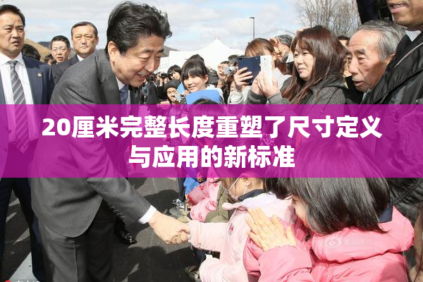 20厘米完整长度重塑了尺寸定义与应用的新标准