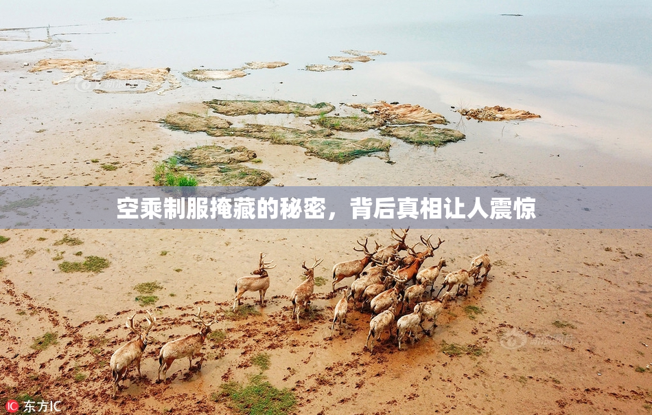 空乘制服掩藏的秘密，背后真相让人震惊