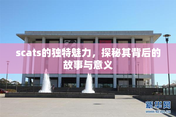 scats的独特魅力，探秘其背后的故事与意义