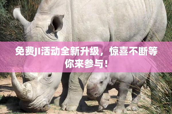 免费JI活动全新升级，惊喜不断等你来参与！