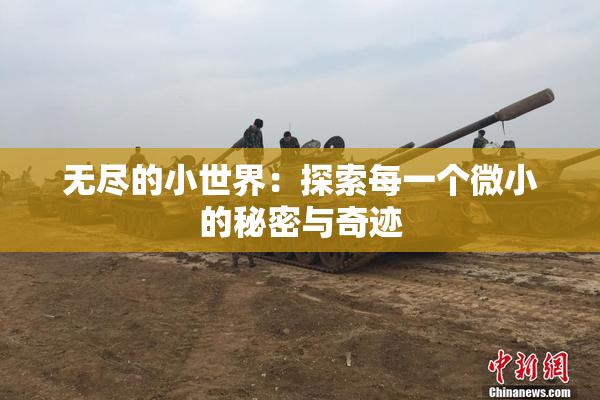 无尽的小世界：探索每一个微小的秘密与奇迹
