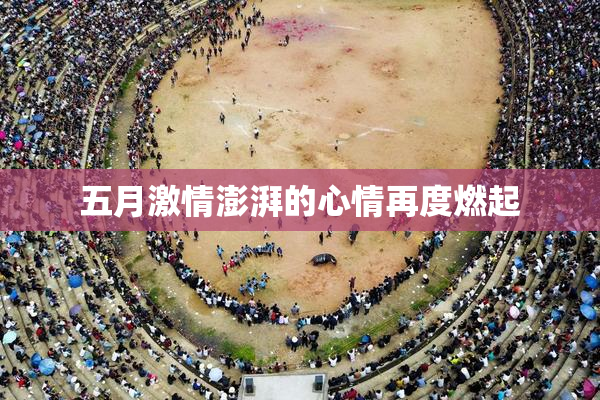 五月激情澎湃的心情再度燃起