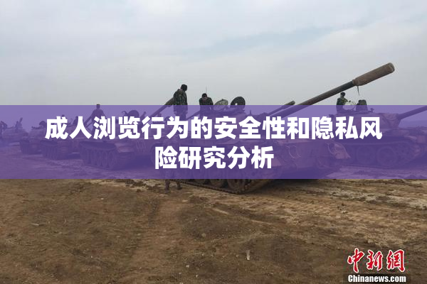 成人浏览行为的安全性和隐私风险研究分析