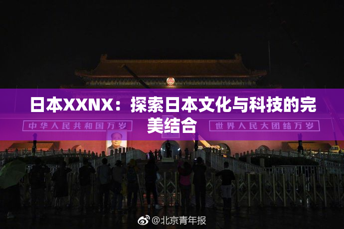 日本XXNX：探索日本文化与科技的完美结合