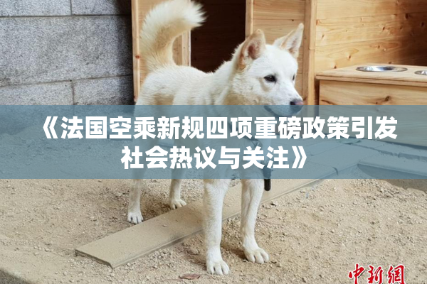 《法国空乘新规四项重磅政策引发社会热议与关注》