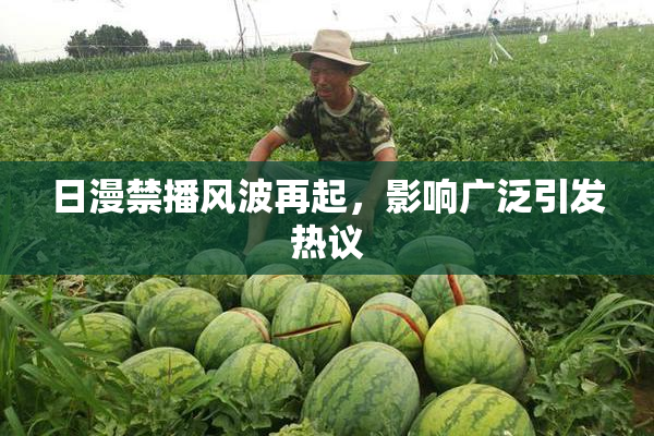 日漫禁播风波再起，影响广泛引发热议