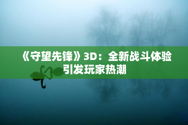 《守望先锋》3D：全新战斗体验引发玩家热潮