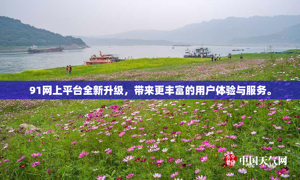 91网上平台全新升级，带来更丰富的用户体验与服务。