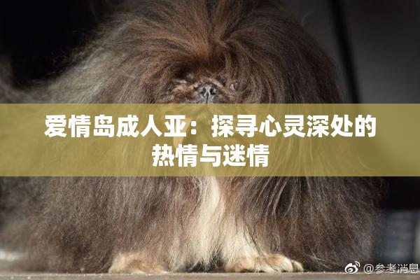 爱情岛成人亚：探寻心灵深处的热情与迷情