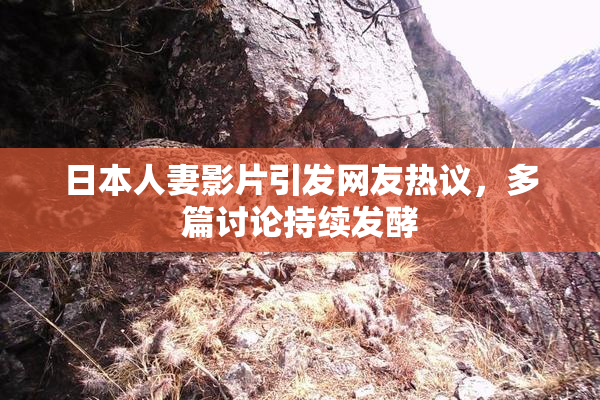 日本人妻影片引发网友热议，多篇讨论持续发酵