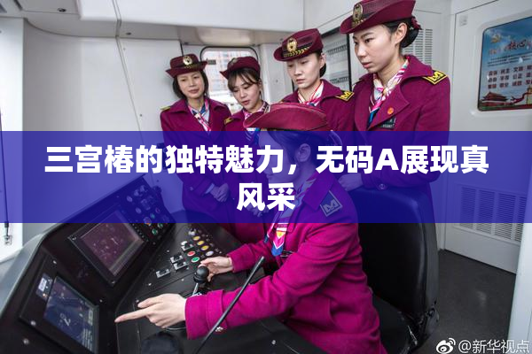 三宫椿的独特魅力，无码A展现真风采