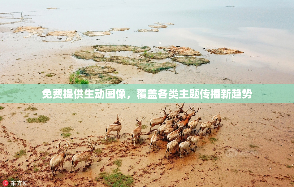 免费提供生动图像，覆盖各类主题传播新趋势