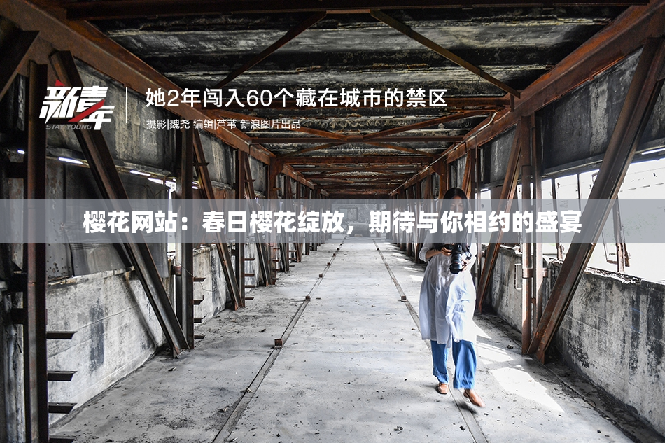 樱花网站：春日樱花绽放，期待与你相约的盛宴