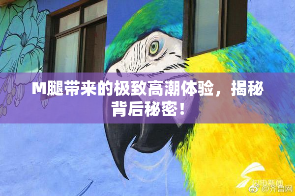 M腿带来的极致高潮体验，揭秘背后秘密！