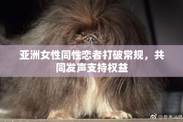 亚洲女性同性恋者打破常规，共同发声支持权益