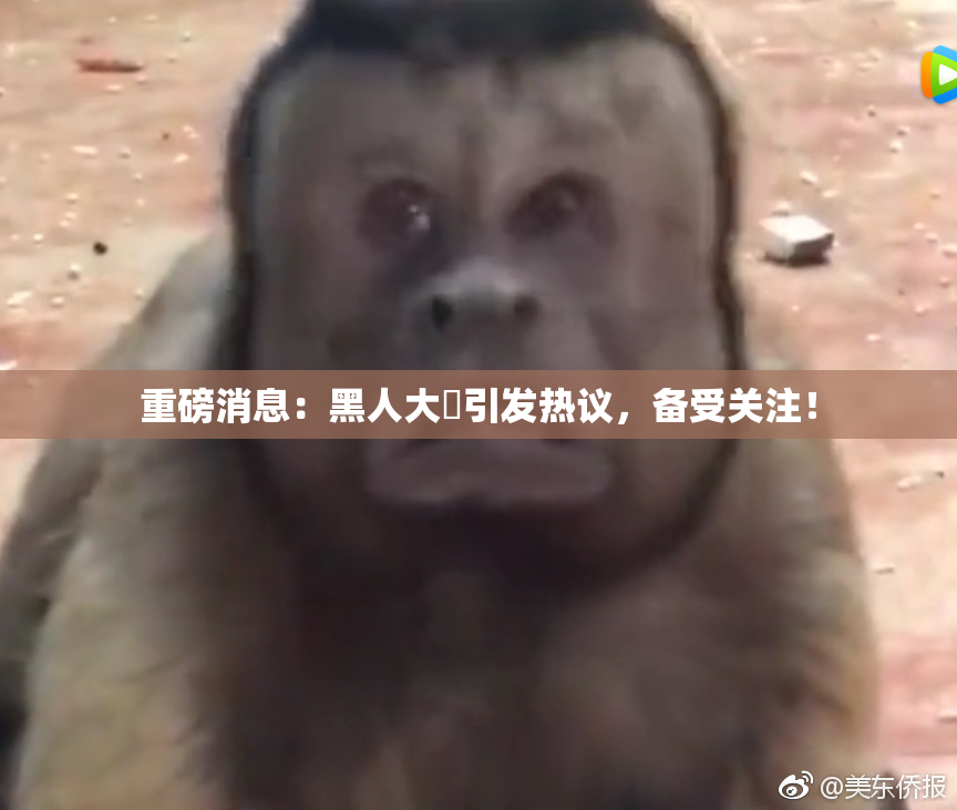 重磅消息：黑人大鷄引发热议，备受关注！