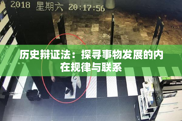 历史辩证法：探寻事物发展的内在规律与联系