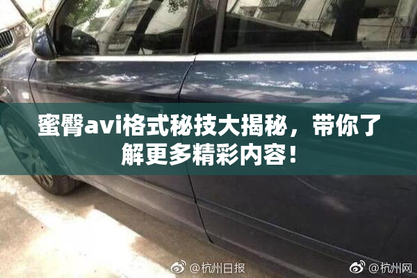 蜜臀avi格式秘技大揭秘，带你了解更多精彩内容！