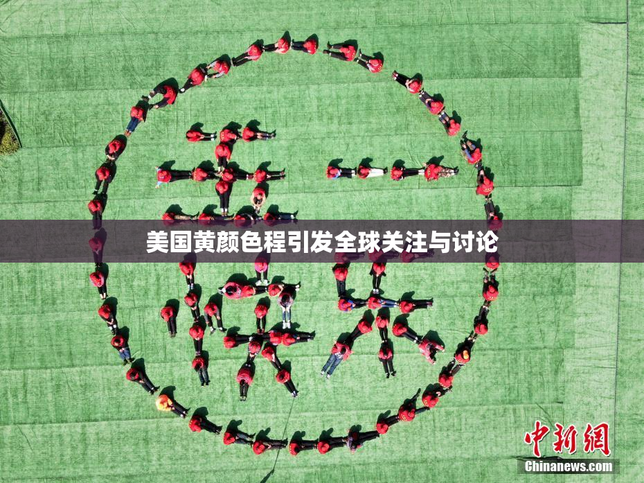 美国黄颜色程引发全球关注与讨论