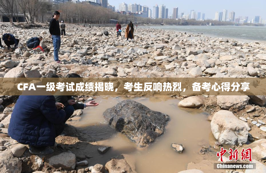 CFA一级考试成绩揭晓，考生反响热烈，备考心得分享