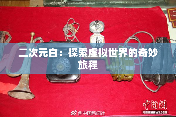 二次元白：探索虚拟世界的奇妙旅程