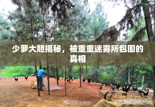 少萝大胆揭秘，被重重迷雾所包围的真相
