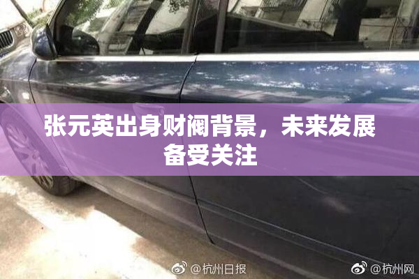 张元英出身财阀背景，未来发展备受关注
