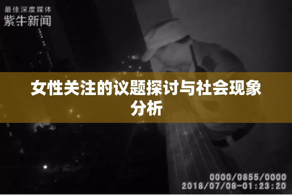 女性关注的议题探讨与社会现象分析