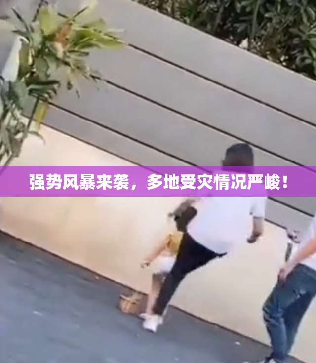 强势风暴来袭，多地受灾情况严峻！