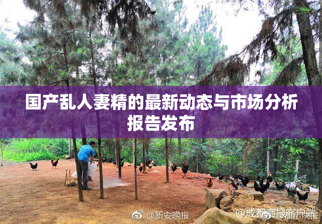 国产乱人妻精的最新动态与市场分析报告发布