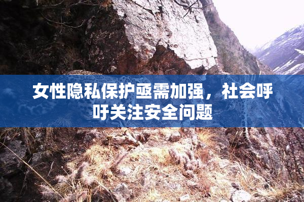 女性隐私保护亟需加强，社会呼吁关注安全问题