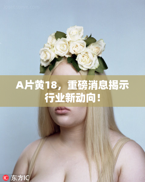 A片黄18，重磅消息揭示行业新动向！