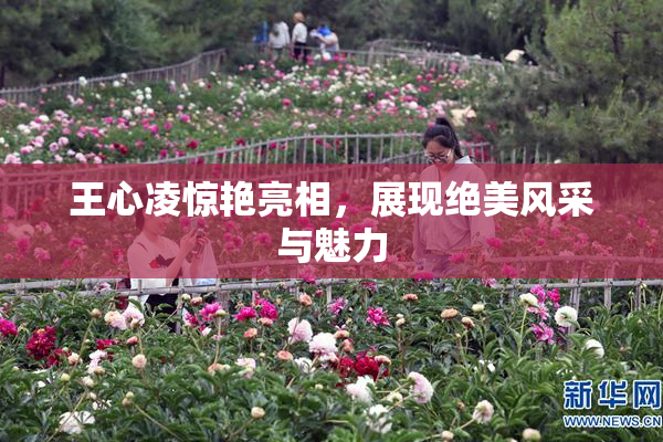 王心凌惊艳亮相，展现绝美风采与魅力