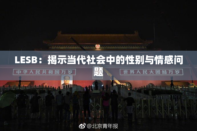 LESB：揭示当代社会中的性别与情感问题