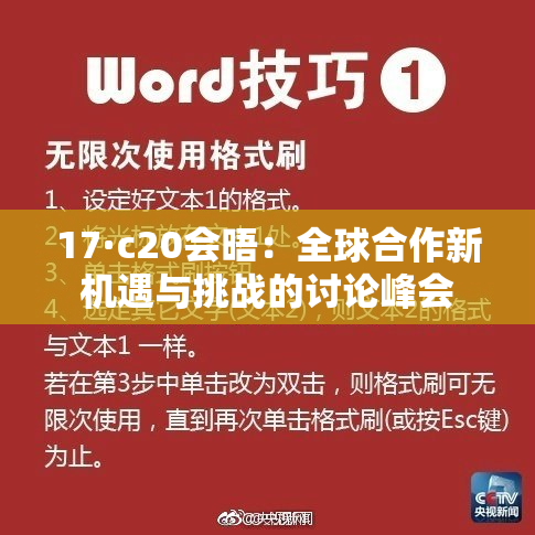 17·c20会晤：全球合作新机遇与挑战的讨论峰会