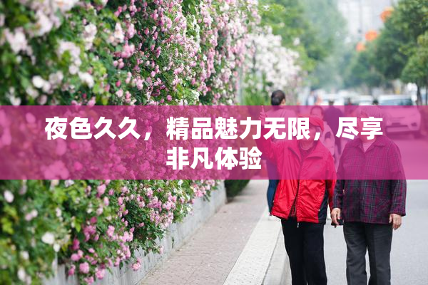夜色久久，精品魅力无限，尽享非凡体验