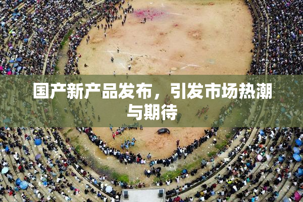 国产新产品发布，引发市场热潮与期待