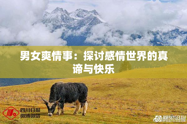 男女爽情事：探讨感情世界的真谛与快乐