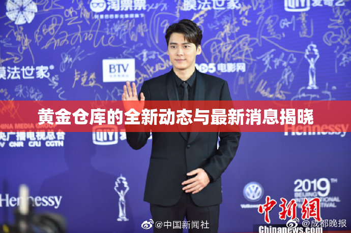 黄金仓库的全新动态与最新消息揭晓