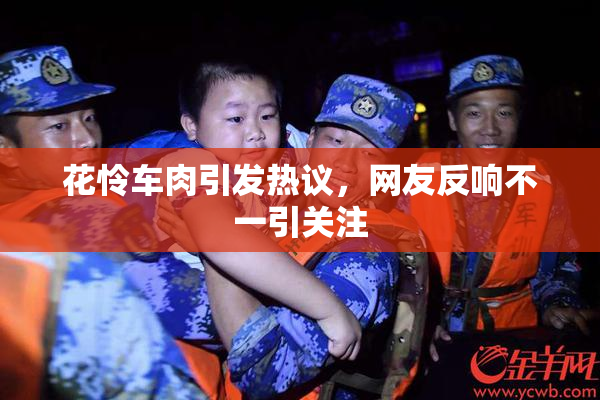 花怜车肉引发热议，网友反响不一引关注