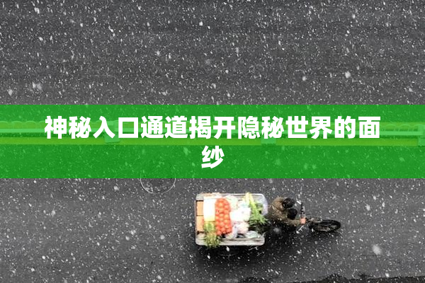 神秘入口通道揭开隐秘世界的面纱